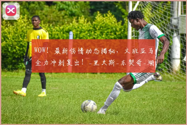 WOW！最新伤情动态揭秘，文班亚马全力冲刺复出！_里夫斯_东契奇_湖人