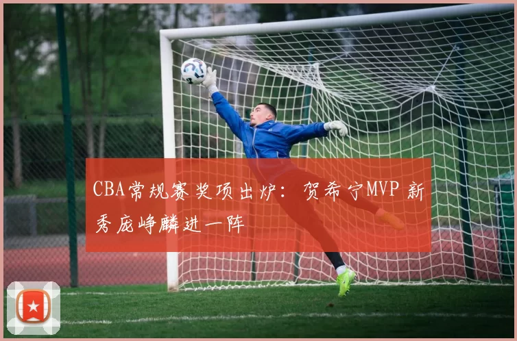 CBA常规赛奖项出炉：贺希宁MVP 新秀庞峥麟进一阵