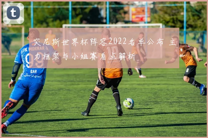 突尼斯世界杯阵容2022名单公布 主力框架与小组赛看点解析