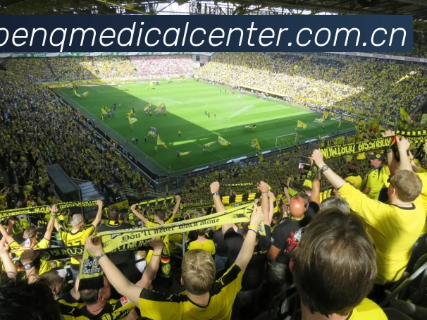 数据防护可视化